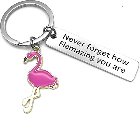 Portachiavi con fenicottero Never Forget How Flamazing You are, idea regalo in argento, Argento, Taglia unica