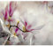 decomonkey - Papier Peint Panoramique Adhésif Fleurs 392x280 cm - Stickers Muraux Chambre Autocollant - Noir violet marron gris - Figures géométriques fleurs géométriques magnolias nature plantes
