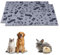NEO SOLVO Lot de 2 Tapis 70cm x 35cm - Absorbant Imperméable Anti Dérapant - pour Chien, Lapin, Cochon d'Inde, Chat - sous la Gamelle - Apprentissage de la Propreté - Devant la Litière - Fond de Cage