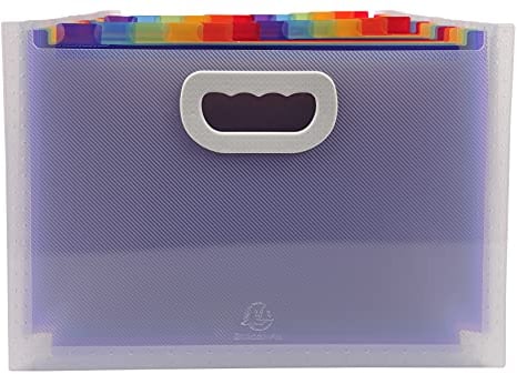 Exacompta 55198E Premium Kunststoff-Fächermappe Crystal mit Tragegriffen für DIN A4 24 vollfarbige Fächer, 2 Etikettenhalter für Visitenkarten inklusive 2 Etikettenbögen, Ordnungsmappe transparent