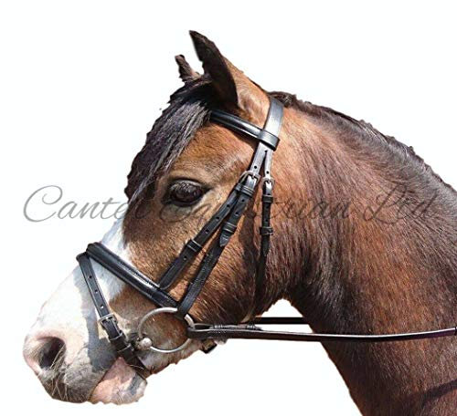 Canter Trensenzaum aus Leder mit Gummizügeln für Shetty, Pony, Cob, Schwarz