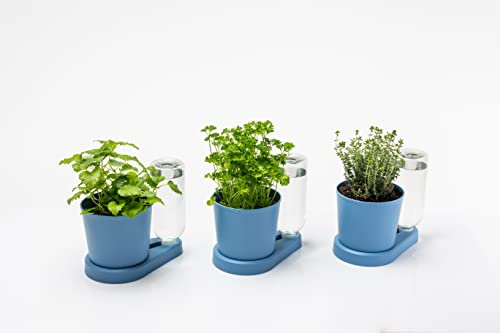 greevi kräuterheld 3er Set | Kräutertöpfe mit Selbstbewässerungssystem | Made in Germany | Kunststoff (Standard, Pastellblau)