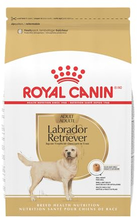 Royal Canin Labrador Retriever Adult Dry Dog Food, 30 lb bag