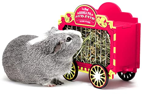 HAYPIGS Meerschweinchen Zubehoer und Spielzeug - Wheek Wagon Heuraufe – Meerschweinchen Heuraufe - Zwergkaninchen Futterraufe – Heuraufen für Meerschweinchen - Futterraufen – Heuraufe für Chinchillas