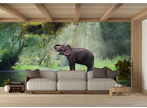 Tapete für Wand Elefant im Wald Thailand | Fototapete für Wände | Wandbild | Tapete | verschiedene Maße 600 x 300 cm | Dekoration für Esszimmer, Wohnzimmer, Schlafzimmer usw.