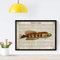 Nacnic Poster Meeresfische. Salarias Poster mit Definition. Seefische Design mit Definitionen. A4-Format