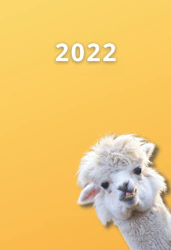 Taschenkalender 2022 A6: 1 Woche auf 2 Seiten, Mini Tagesplaner und Wochenkalender mit praktischer Jahresübersicht im Happy Alpaka Design (Mini Wochenplaner)