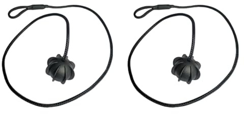 2 Piezas Banda de Sujeción para Maletero, Cuerda de Fijación del Estante Trasero, Cuerda para Estante de Paquetes Trasero de Auto, Correa de Cable de Sujeción, Accesorios de Tuning de Auto Cuerda