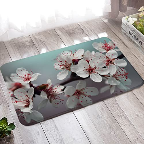Türmatte Draussen, Wc Teppich 50X80cm Weiß Rot Pfirsichblütenzweig für Stark Frequentierte Bereiche Außerhalb des Hauses