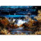 Papier peint murando intissé 350x256 cm Décoration Murale XXL Poster Tableaux Muraux Tapisserie Photo Trompe l'oeil paysage Foret nuit c-A-0038-a-b