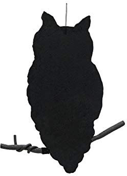 EUROPALMS Silhouette Eule aus Styropor, Höhe 62cm