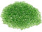 Pierres de verre colorées, gravier d’aquarium de 1,1 lb, gravier irrégulier pour les décorations d’aquarium et le réservoir de tortues, perles de verre pour bocal à poissons, remplissage de vase,Verte