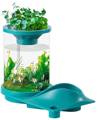 Dreuhuing Small Fish Tank,Translucent Quiet Aquatic Tank With Filter System - Self-Sustaining Fish Tank With Aquarium Aquaponic Ecosystem for Fish Store, Home, Workplace, Apartment