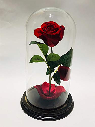 Euro Glass Angelo La Bella e la Bestia Rosa in Campana di Vetro Misura 14X28