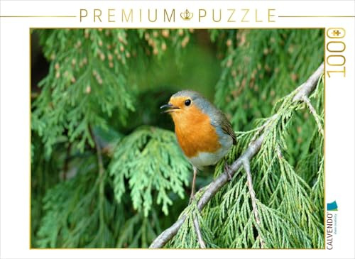 CALVENDO Puzzle EIN Motiv aus dem Kalender Das Rotkehlchen, singt Uns EIN Lied | 1000 Teile Lege-Größe 64 x 48 cm Foto-Puzzle für glückliche Stunden