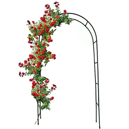 Arco Da Giardino Per Rose Piante Rampicanti Traliccio Pergolato Vite Decorazione Design Per Eventi Matrimoni Viali Sostegno In Metallo Verde Scuro 240 x 140 x 38 cm