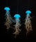 Tillandsien Pflanzen - Luftpflanzen echt - Air Plants - Tilldandsia - 3er Set Quallenpflanzen mit im Dunkeln leuchtenden Glas-Seeigeln - Spanisches Moos - Luftpflanzen Halterung - Trendyairplants