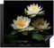 KitchenYeah© Herdabdeckplatte Einteilig Induktionsmatte Küche Abdeckung Ceranfeld Herd Abdeckplatte Deko Vinyl Matte Aufrollbar Lotus - Blumen - Weiß - Natur - Schwarz - Design - 60x52 cm