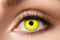 Eyecatcher 84063141-606 - Farbige Kontaktlinsen, 1 Paar, für 12 Monate, Gelb, Karneval, Fasching, Halloween