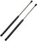 Frankberg 2x Resorte de gas Maletero Compatible con XC90 I 275 Todos los Motores 2002-2014 Sustituir# 30634580