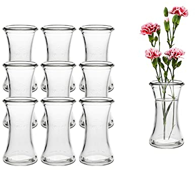 10 Stück Runde Typ DEL100 Mini Vasen Glasfläschchen kleine Dekoflaschen Flasche Väschen Vase Glasflaschen Blumenvase (10)
