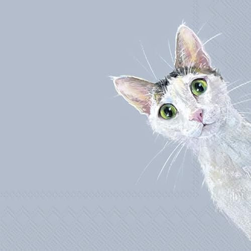 IHR Ideal Home Range Party-Servietten, Einweg-Servietten, 3-lagig, 16,5 x 16,5 cm, Katzen-Stella, Hellblau, 20 Stück