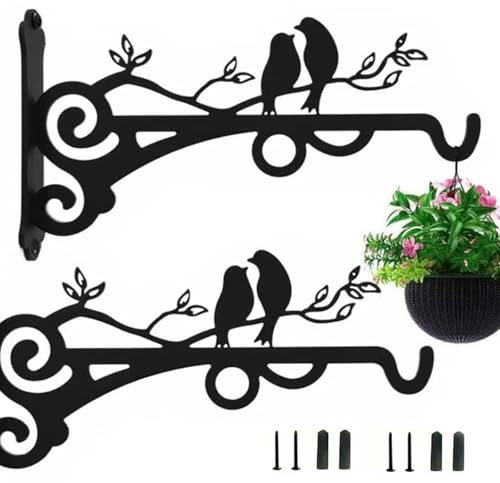 DragonX2 Hanging Plant Holder, 2 Pièces Supports Jardin Suspendus Cintres Pot Fleur Avec Vis 20cm Pour Lanternes, Paniers Suspendus, Cages À Oiseaux, Carillons Éoliens