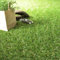 Decoweb Gazon synthétique Botanic Garden - 40mm - Rouleau de 1m x 4m
