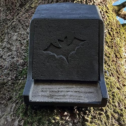 HASSELFELDT Fledermaus Großraumkasten für Kleinfledermäuse aus Holzbeton | Fledermausquartier | Fledermauswochenstube | Großraumhöhle | Sommerquartier| Fledermauskasten|Fledermaus-Haus|Selbstreinigend