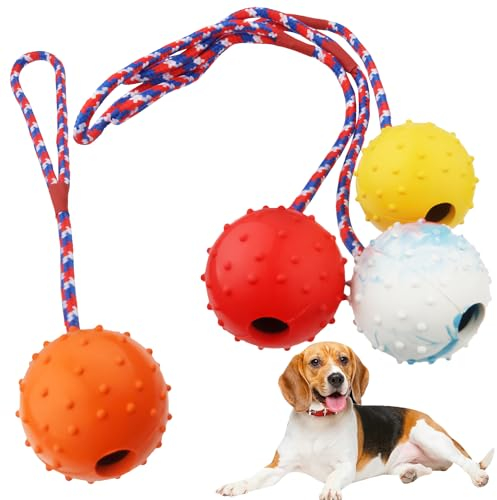 4pcs Ball Mit Schnur Hund,Naturgummiball Mit Seil Hundespielzeug,5.5cm Hundespielzeug Ball Mit Seil,Wurfball Mit Seil,unzerstörbarer Hundeball Mit Seil,großer Und Kleiner Hundeball,Wurfball für Hunde