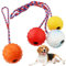4pcs Ball Mit Schnur Hund,Naturgummiball Mit Seil Hundespielzeug,5.5cm Hundespielzeug Ball Mit Seil,Wurfball Mit Seil,unzerstörbarer Hundeball Mit Seil,großer Und Kleiner Hundeball,Wurfball für Hunde