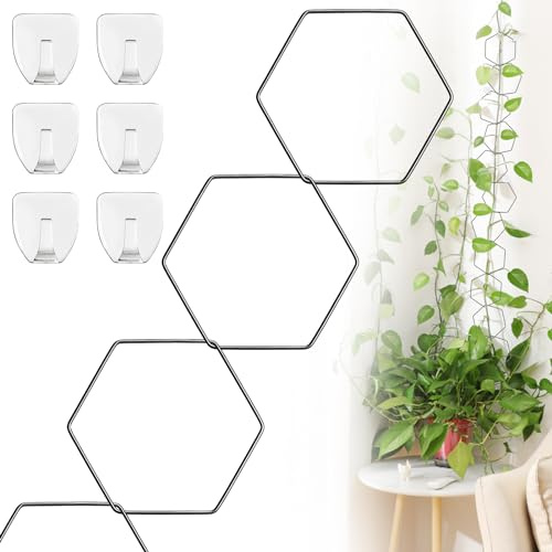 Kettenspalier für Kletterpflanzen - Zimmerpflanzenzubehör für Innen- und Außenbereich | Pflanzenstütze für Monstera, Pothos, Efeu | Gartenwandgitter & Pflanzengeschenke