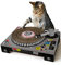 SUCK UK SK CATDECK1 Rascador Tocadiscos para Gatos, Multicolour