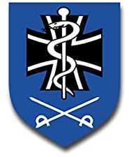 Aufkleber/Sticker Sanitätsdienst des Heeres Sani Medizin BW 7x5cm A1508
