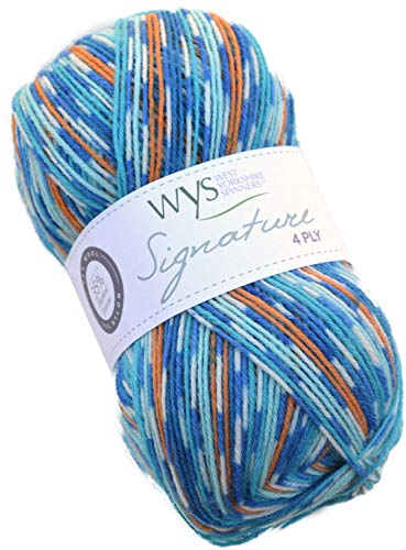 WYS Bluefaced Leicester Wolle Signature 4ply Sock Yarn 844 - Kingfisher, 100g Wolle, Sockenwolle musterbildend mit Blue Faced Leicester Wool