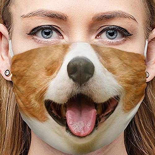 Pitashe Erwachsene Mundschutz Lustig Waschbar Multifunktionstuch Lustige Motive Atmungsaktiv Wiederverwendbar Halstuch Stoff Bandana, Mund und Nasenschutz