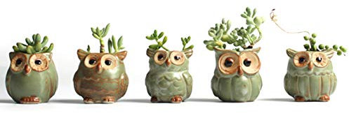 Foxlove, mini vasi per piante grasse, con sottovaso a forma di gufo, piccoli vasi per piante con accessori