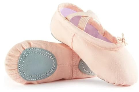 WHYCNJL 1 Paire Chaussure Fille Chaussures de Danse Classique Chausson de Danse Toile Demi Pointe Pantoufle de Ballet Chaussure Taille 28 Convient aux Pieds d'environ 18 cm