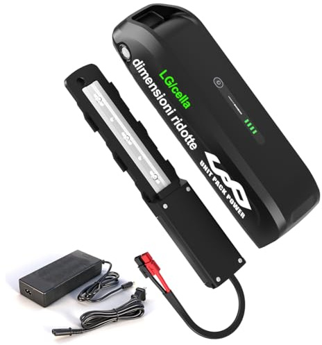 LG/cella Batteria per bici elettrica 48V 15Ah per motori 250W 500W 1000W | per ruote anteriori e posteriori (48V 15Ah/LG/cella)