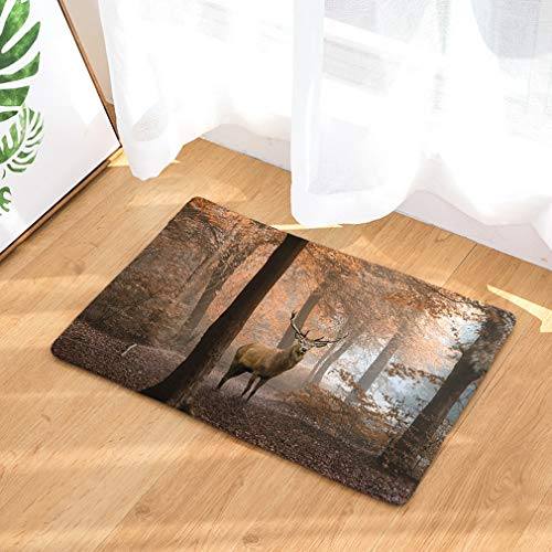 Nunbee Fußmatte Druck Designe Anti Rutsch Unterlage Wasseraufnahme Praktische Teppich Schmutzfangmatte Haustür Flur Innenbereich Aussen Lustig, Hirsch 1 50 * 80cm