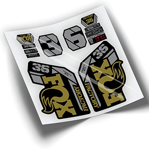 Adesivi per forcella della bicicletta Fox 36 Factory 2021 Bicolore WP424 Oro