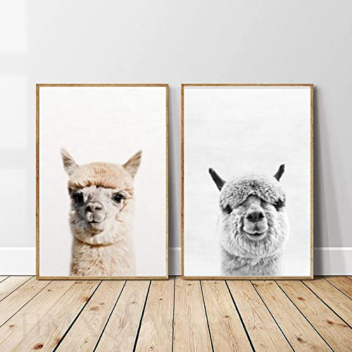 HMXQLW Leinwand Bild Alpaka Nutztiere Lama Bilder Kinderzimmer Kindergarten Deko, Leinwand Bilder Poster und Drucke Wandkunst Malerei Schlafzimmer Wohnzimmer Rahmenlos (2X50X70CM)