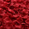 CAKEEYUM Pétales de Rose 1000pcs 1, 77 Pouce Artificiel vin Rouge Rose Pétales décoratives Bordeaux Fausses de Fleur en Vrac pour la Nuit Romantique, Le Mariage, l'anniversaire et la fête à la Maison