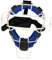 Perfeclan Baseball-Catcher-Helm mit Gesichtsmaske, Softball-Helm, universelle stabile Schlaggesichtsabdeckung, Kopfbedeckung, Draht-Gesichtsschutz für, Blau