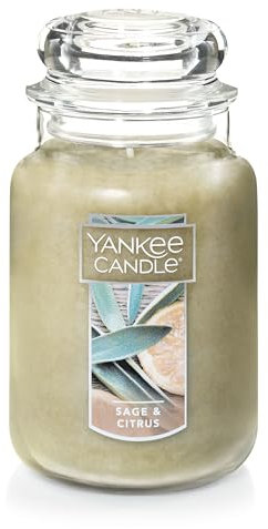 Yankee Candle Salbei- und Zitrusduft, 625 ml, Einzeldochtkerze, über 110 Stunden Brenndauer, ideal für Heimdekoration und Geschenke, klassisches großes Glas, elfenbeinfarben