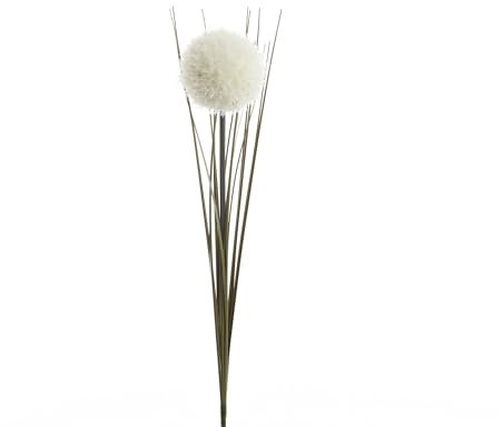 Kaemingk Künstliche Allium mit Stiel 7cm x 66cm - Kunstblumen & Seidenblumen - Blumen für Blumendeko Tischdeko Hochzeitsdeko Taufdeko - Stielblume Weiß