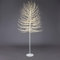 Magie di Natale Albero luminoso Faggio tronco lungo rami a microled luce calda da interno ed esterno (150 cm, Bianco)
