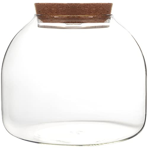 ULTECHNOVO Contenedor de terrario de vidrio, casa de terrario de plantas suculentas, tarro de galletas de caramelo de escritorio, terrario de paisaje para plantas, suculentas y macetas de aire,