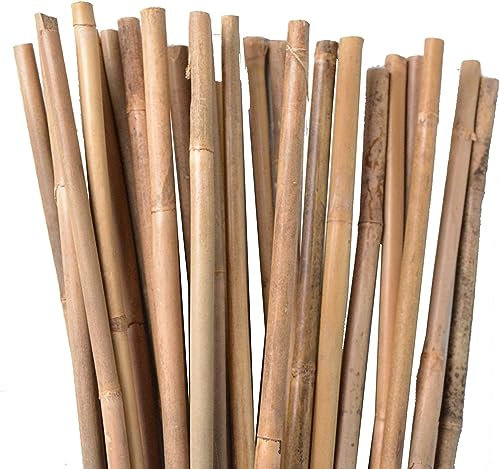 Suinga Lot de 50 Tuteur en Bambou 105 cm, 8-10 mm, Tubes en Bambou pour Plantes et Arbres, Baguettes de Bambou, Canne de Bambou, Tuteur, Tiges de Bambou