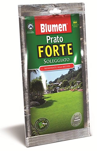 Blumen Prato Forte Soleggiato, Verde